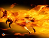 Firefox komt pas een jaar na release naar Windows 8
